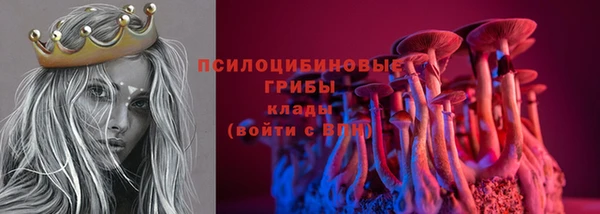 2c-b Бугульма
