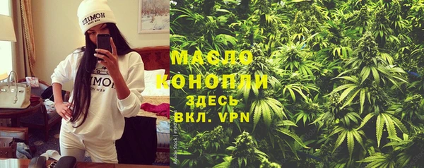 spice Бородино