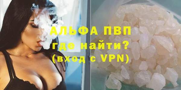 spice Бородино