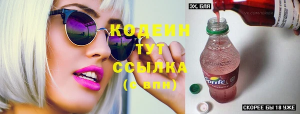 ешки Снежногорск