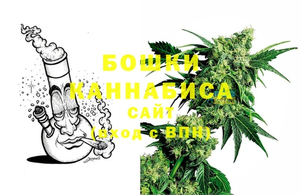 ECSTASY Бронницы