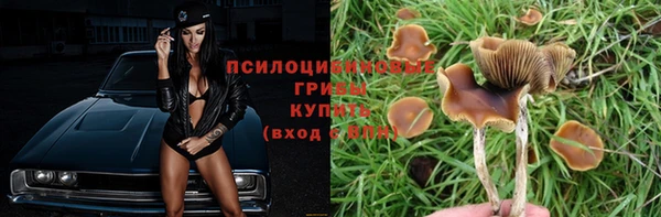 2c-b Бугульма