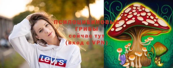 spice Бородино