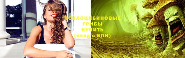 spice Бородино