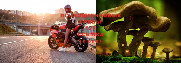 spice Бородино