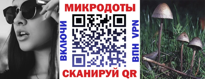 купить Абакан Псилоцибиновые грибы Magic Shrooms